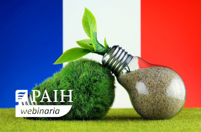 Żarówki z trawą na tle flagi Francji