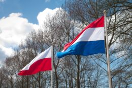flagi polska i niderlandii na tle drzew bez liści