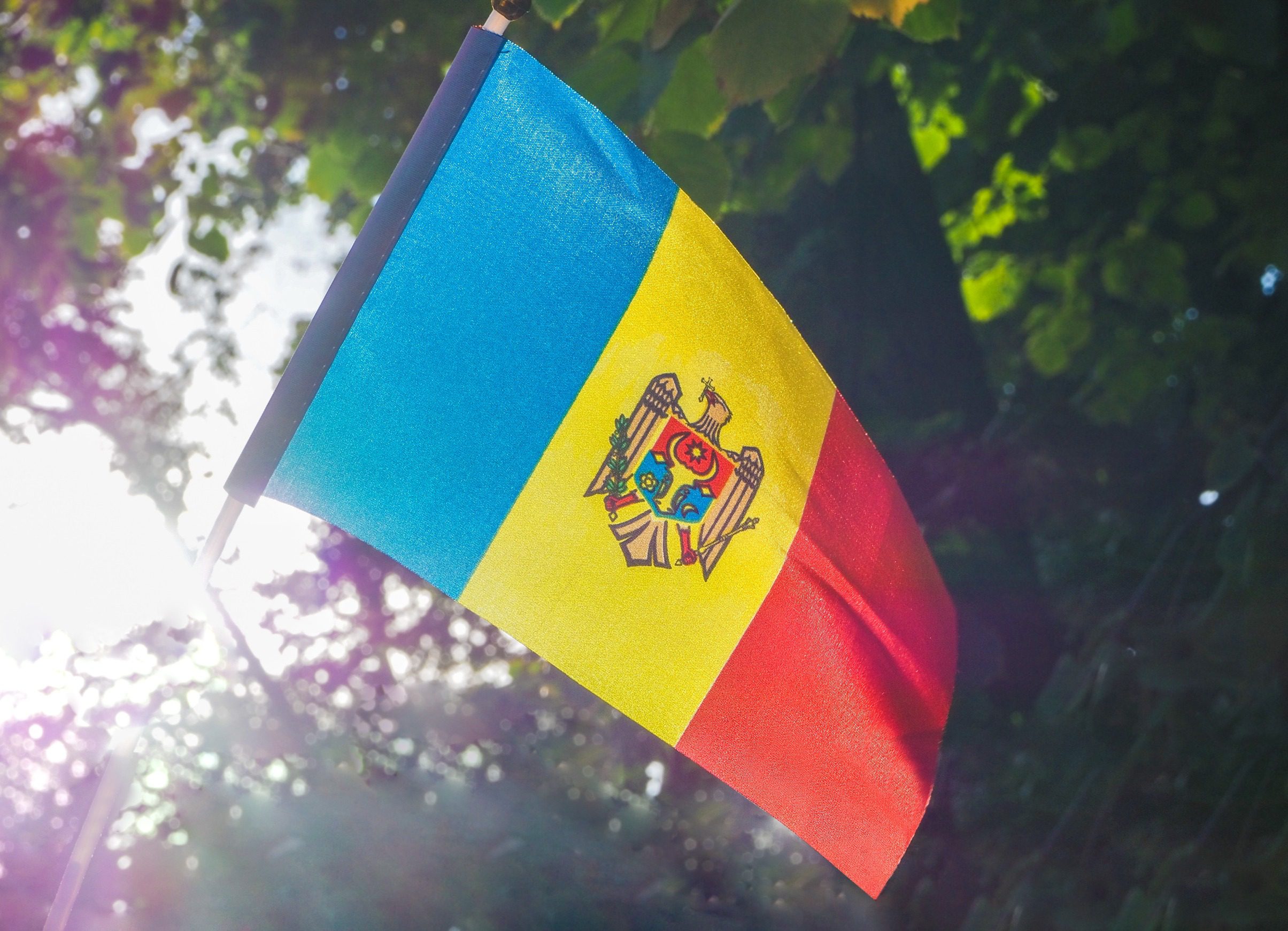 Flaga Mołdawii na tle zielonego drzewa