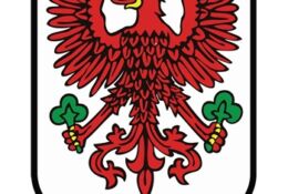 herb Gorzowa czerwonego orła w polu srebrnym, uzbrojonego w złoto trzymającego w szponach dwa zielone trójlistne liście koniczyny