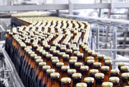 Beer bottling in the brewery - conveyor belt with glass bottles