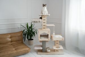 Hoppa - premium cat tree system