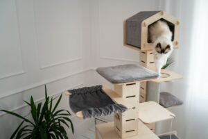 Hoppa - premium cat tree system