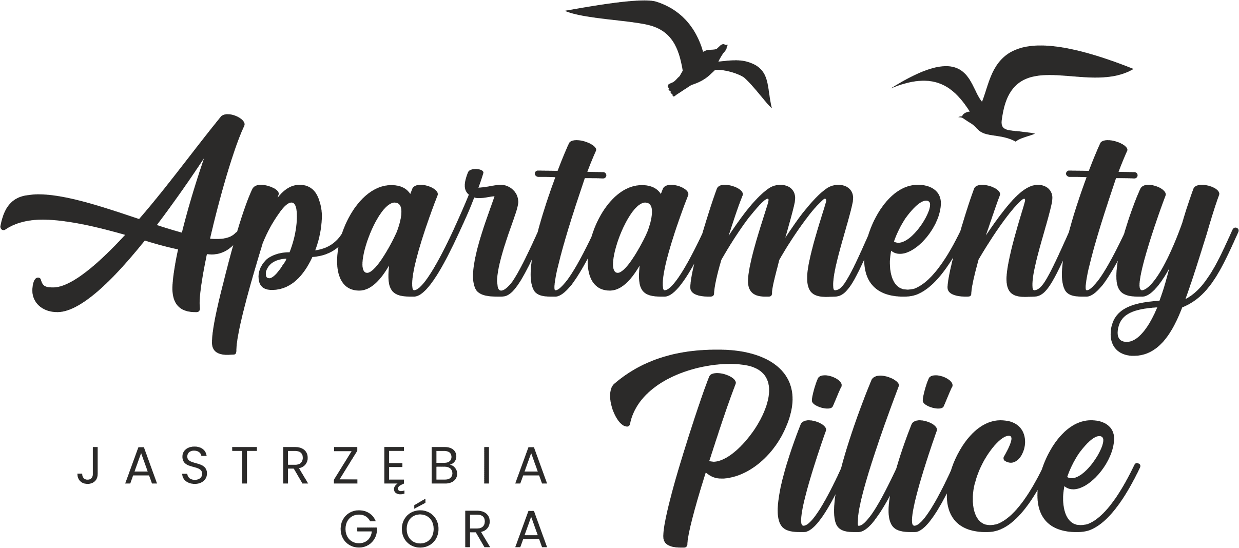 Apartamenty Pilice logo