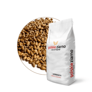  LG Mocca wheat is an exceptional high-yielding variety that performs well in all growing regions. 