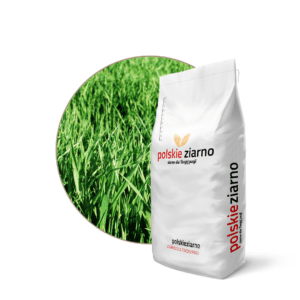 NIRA perennial ryegrass is a forage grass with a deep root system, rapid regrowth and high nutritional value. 