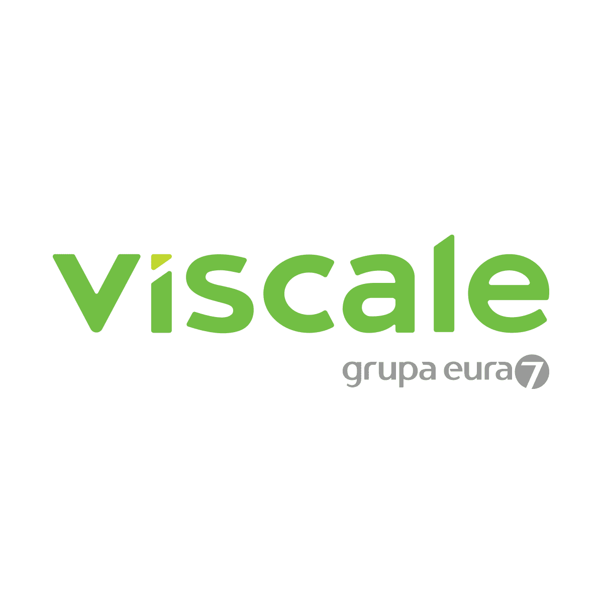 viscale logo