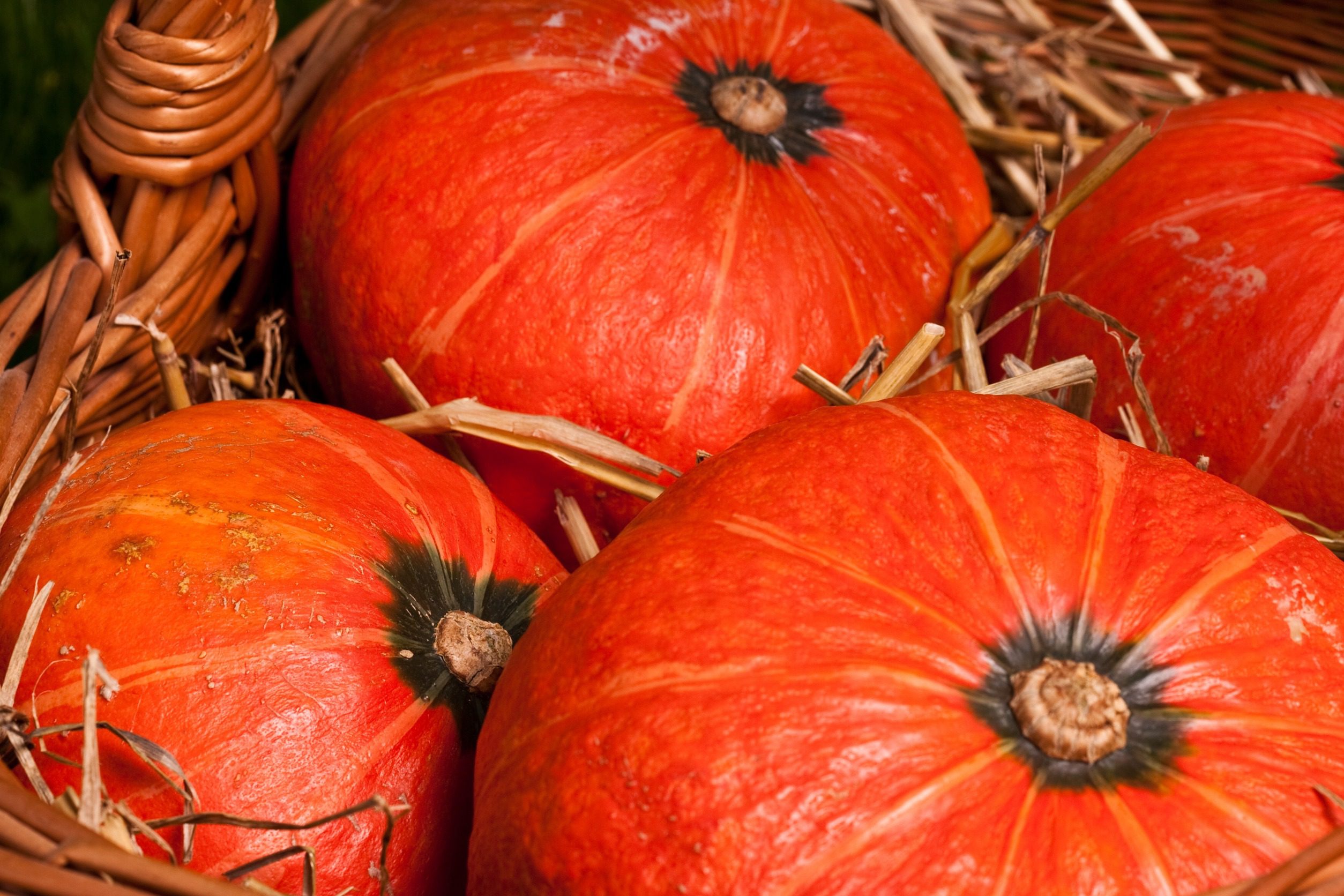 pumpkins in a basket