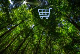 The canopy of forest has a hole in the shape of a shopping cart