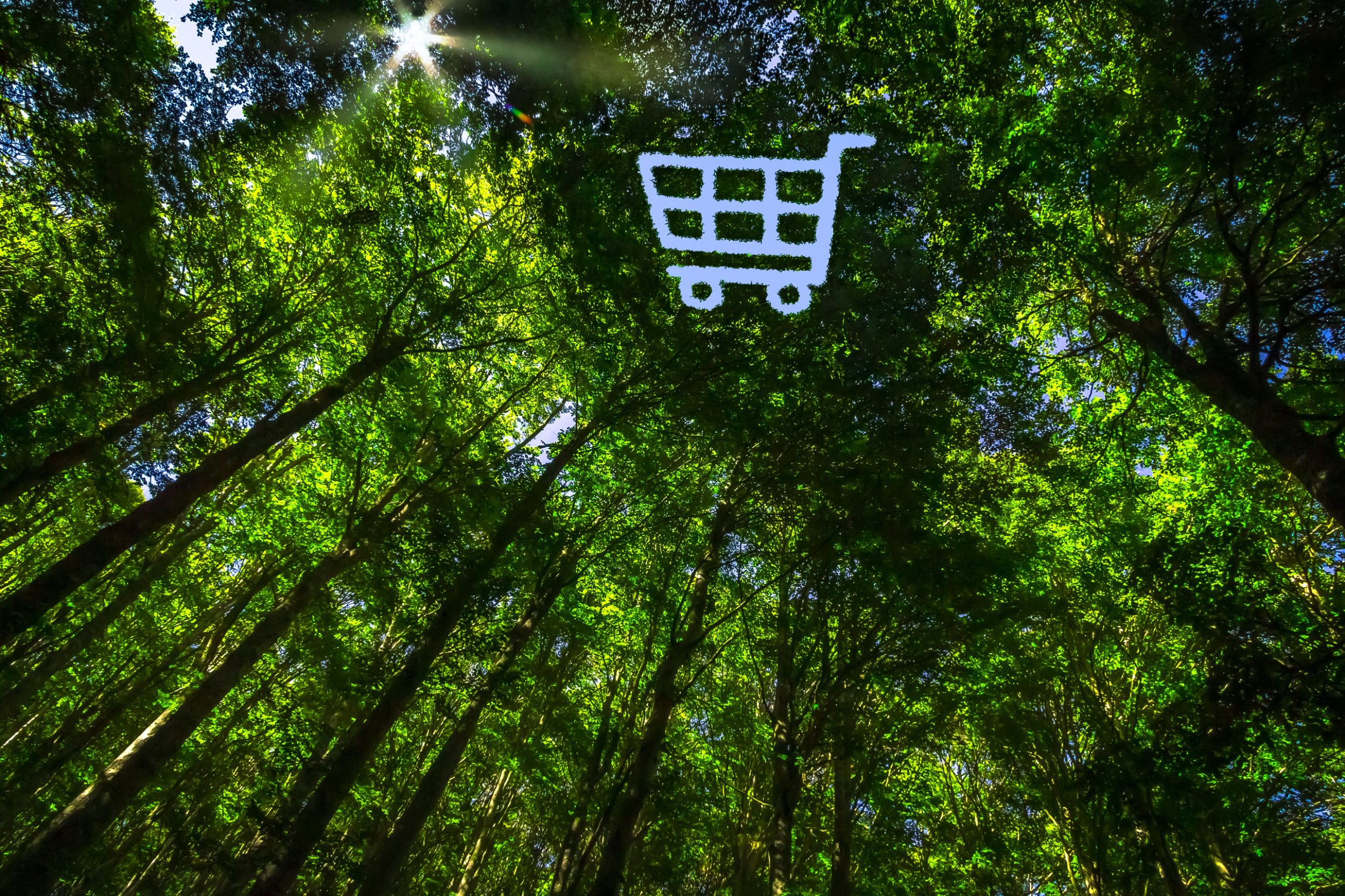 The canopy of forest has a hole in the shape of a shopping cart