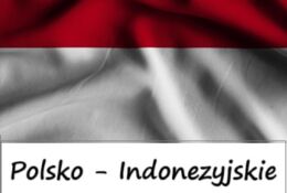 flaga Indonezji i napis Polsko-Indonezyjskie seminarium w Gańsku