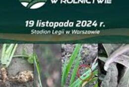 nazwa wydaezenia i różne rośliny