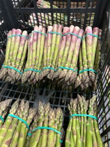 asparagus Polish