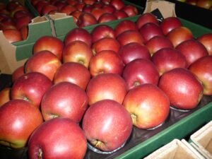 Polish apples, all variesties, 30 trucks per week