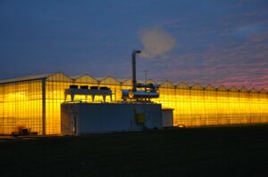 Combined Heat and Power System installed in a greenhouse for tomato production